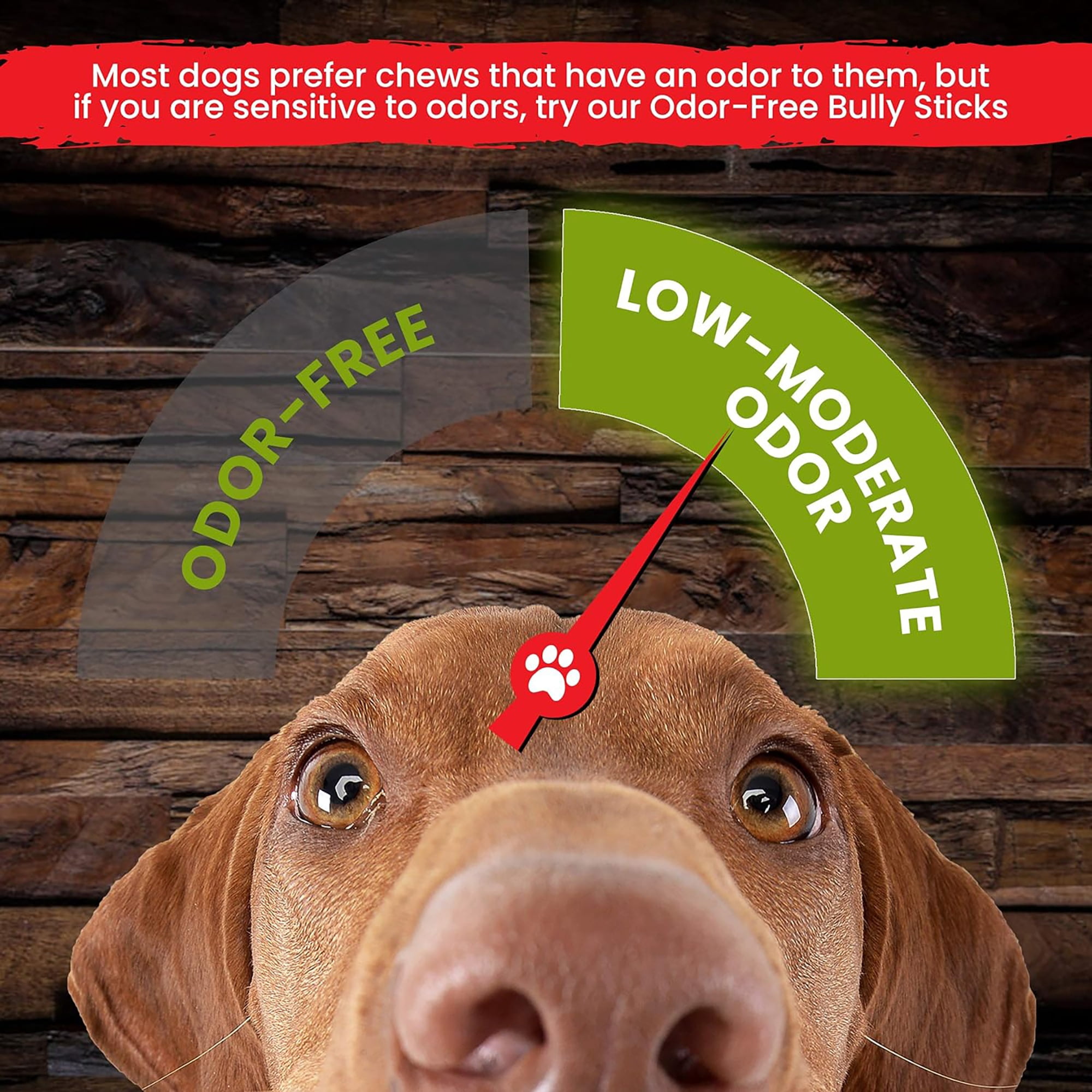 Sancho & Lola's: 6" Bully Sticks - Jumbo 5 Count - Dog Treat, Low-Odor Chew, High-Protein, Made with 100% Beef Pizzle, Hand-Selected in the USA