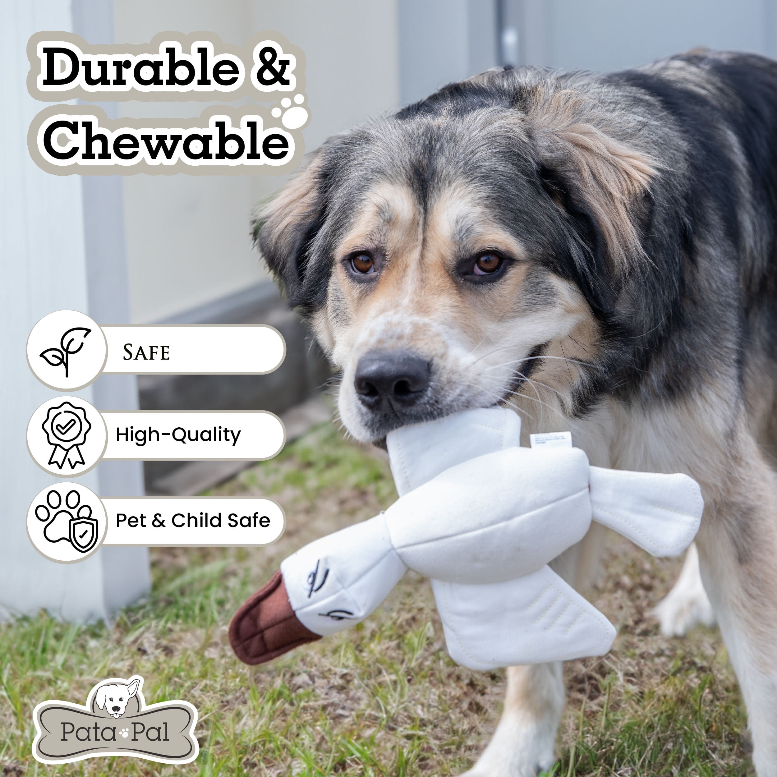 Durable Tough Cotton Canvas Squeaky Dog Toys, Eco-Friendly Interactive 2-Pack Chew Toy Set for Small,Large Dogs Ducky & Dawgy by Pata Pal