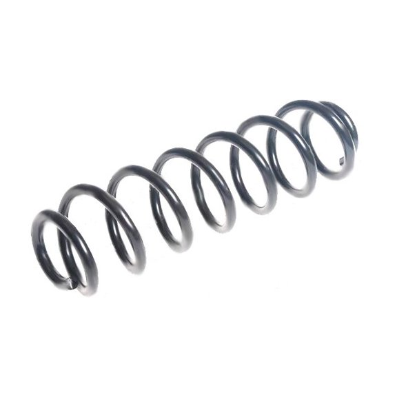 Rear Coil Spring - Compatible with 2015 - 2017 Volkswagen Passat 2016