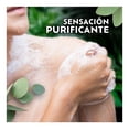thumbnail image 4 of Jabón de Baño Palmolive Naturals Arcilla Negra y Aceite de Eucalipto Sensación Purificante 120 g, 4 of 5
