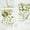 White, variant on Arestory Natural Dried Flowers Combination DIY Pressed Herbarium Flower Decorative for Resin Jewelry Crafts Nail Stickers