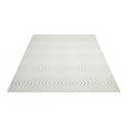 thumbnail image 3 of Nourison Enhance Iv/Grey Area Rug EN004 8' x 10', 3 of 7