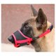 thumbnail image 2 of Bozal de Nylon Ajustable QUANZHOUTIANDI Rojo M 14-20 cm Perro Pequeño Mediano Grande, 2 of 4