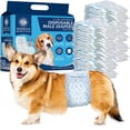thumbnail image 1 of Pañales para perros American Kennel Club para hombre, desechables, pequeños, 50 unidades, 1 of 8