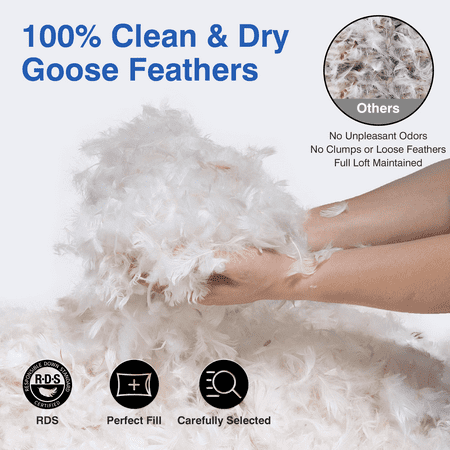 FAPO Goose Feather and Down Pillows Queen Size Set of 2 Luxury Hotel Bed Pillows with Cotton Cover