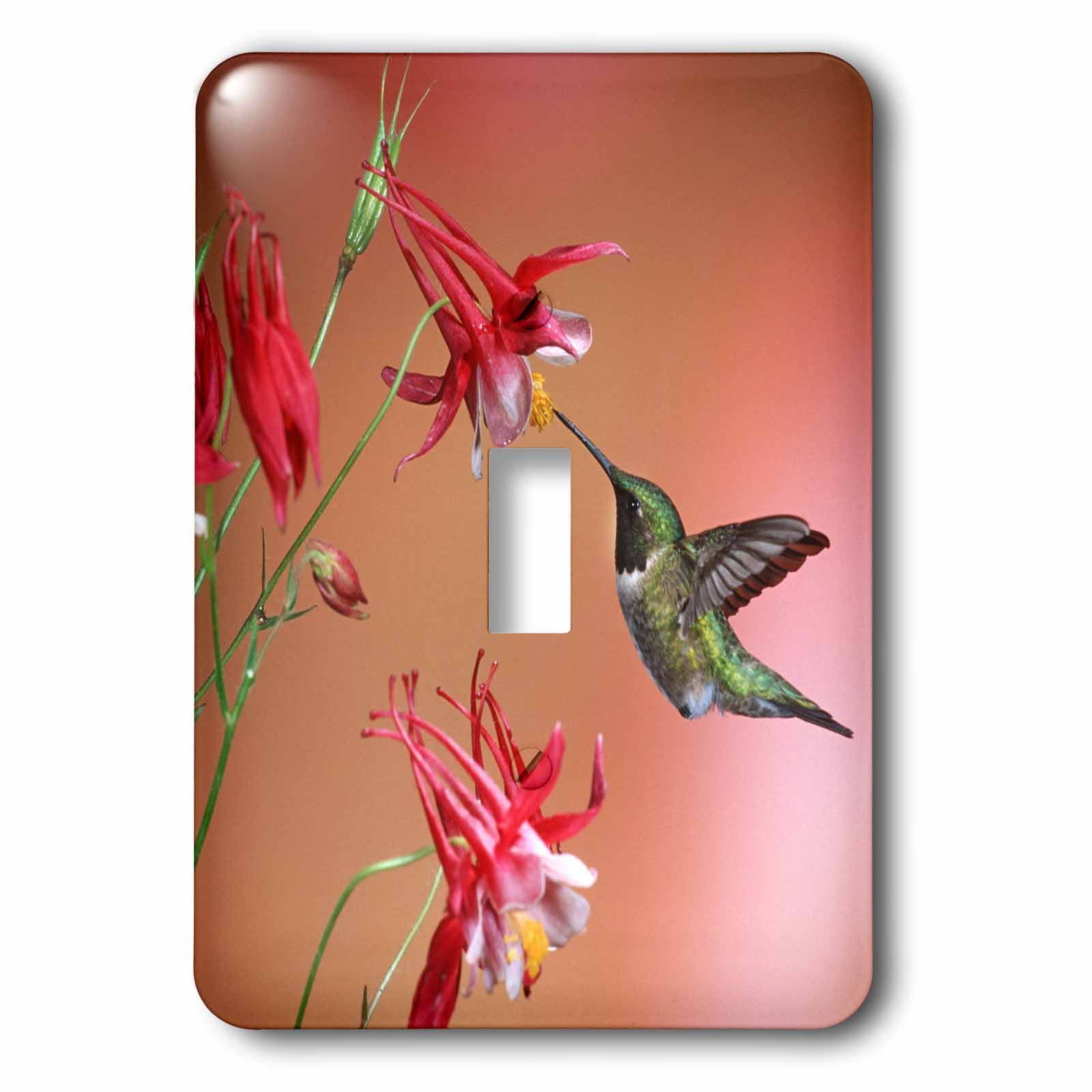 3drose Ruby Throated Hummingbird Male On Crimson Star Columbine Illinois Single Toggle Switch Lsp 259296 1 Walmart Com Walmart Com