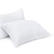 thumbnail image 2 of Almohada AlmodaÂ® C Fda Para Hotel Luxury Gran Turismo KITALM004#2, 2 of 3