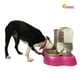thumbnail image 2 of Dispensador Doble para Perro Gato Bebedero y Comedero MascotasyAccesoriosMX Doble Comedero y Bebedero Color Negro, 2 of 3