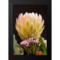 thumbnail image 2 of Peterson, Lee 11x14 Black Modern Framed Museum Art Print Titled - Protea Artistata, 2 of 5