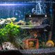 thumbnail image 2 of Peine de vertedero para tanque de peces, peine de desbordamiento para peces, peine de flujo de agua para suministro de peceras, 2 uds., 2 of 7