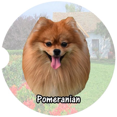 

Pomeranian Car Coaster Absorbent Stoneware Car Cup Holder Coaster Set of 2