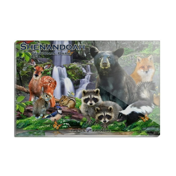 Shenandoah National Park Virginia VA Animals Bear Raccoons Deer Skunk Fox Rectangle Acrylic Fridge Refrigerator Magnet