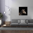thumbnail image 4 of Epic Graffiti 'Zebra' by Epic Portfolio Giclee Canvas Wall Art, 37"x37", 4 of 8
