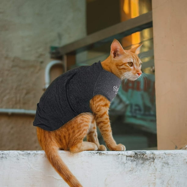 Anxiety coat for outlet cats