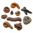 thumbnail image 4 of 10pcs/bag Fake Poop Feces Pranks Toys Halloween April Fools Day Party Trick Toy, 4 of 4