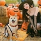 thumbnail image 4 of Decoraciones de Halloween, adornos de Halloween, regalos de Halloween, disfraz de tarántula para mascota de Halloween, disfraz de transformación de perro de Halloween, disfraz de decoración de tarántu, 4 of 6