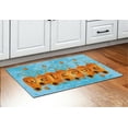 thumbnail image 3 of ThisWear Fall Decor Welcome Thanksgiving Decor Pumpkin Doormat Fall Holiday Welcome Mat 2 Pack Doormats Multi, 3 of 3