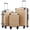 Beige, variant on Coolife Hardside Luggage 3 Piece Set with TSA Lock, Spinner Wheels, Telescopic Handle, Lightweight Travel Suitcases (Blue, 3 piece set)