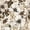Tan Khaki Silver, variant on Manfei Golden Hibiscus Twin Sheets 3pcs,Animal Leopard Print Bedding,1 Flat Sheet,1 Fitted Sheet and 1 Pillowcase