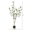thumbnail image 3 of Nearly Natural 5' Minimalist Citrus Artificial Tree, 3 of 5