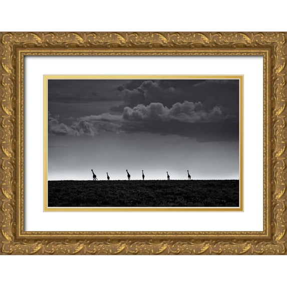 Metro, Greg 24x17 Gold Ornate Wood Framed with Double Matting Museum Art Print Titled - 6 Giraffes