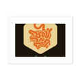thumbnail image 1 of Organos del cuerpo del intestino delgado Marco de Fotos de escritorio imagen Blanco Pintura arte 5x7 pulgadas, 1 of 4