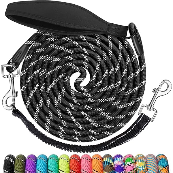 Chenchen Heavy Duty Dog Leash, 3/4/5/6/8/10/15/20/26/30/36/50/100FT Pet Lead with Swivel Hooks & Ergonomic Padded Handle, Reflective Detachable Bungee Black Training Leashs for Small Medium Large Dog