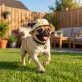thumbnail image 3 of Stylish Dog Sun Hat For Small Dogs Lightweight Polyester Pet Cap With Adjustable Chin Strap For Outdoor Beach Park Walks UV Protection In Duck Cow Check And Blue, 3 of 9