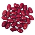 thumbnail image 1 of 30 Graines de Haricot Rénal Rouge Phaseolus Vulgaris Légumes, 1 of 1