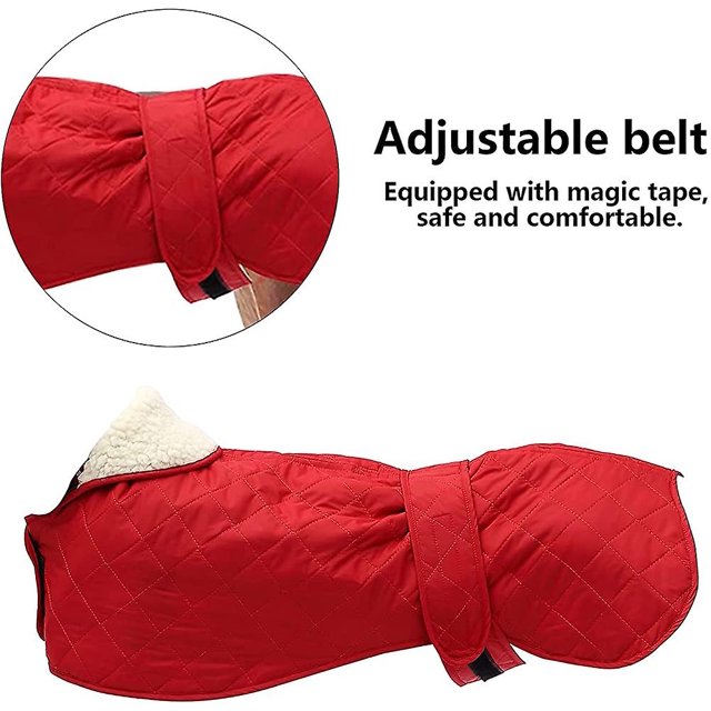 Cálido Abrigo Galgo Acolchado Térmico Con Agujero De Arnés. Abrigo de invierno para perro con cálido forro polar. Ropa para perros al aire libre para tama?o mediano. Perro Grande -rojo-s XianweiShao 8390612876509