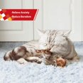 thumbnail image 4 of 50% Rabatt - Fladdrande Fågel Sparv Katt Leksak Livsliknande Kvittrande Ljud Beröringsaktiverad Kattunge, 4 of 5