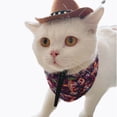 thumbnail image 3 of Pet Mini Cowboy Hat,Western Role-Play Hat For Dogs & Cats, Adjustable Halloween Party Cosplay Cap & Photo Prop New, 3 of 4
