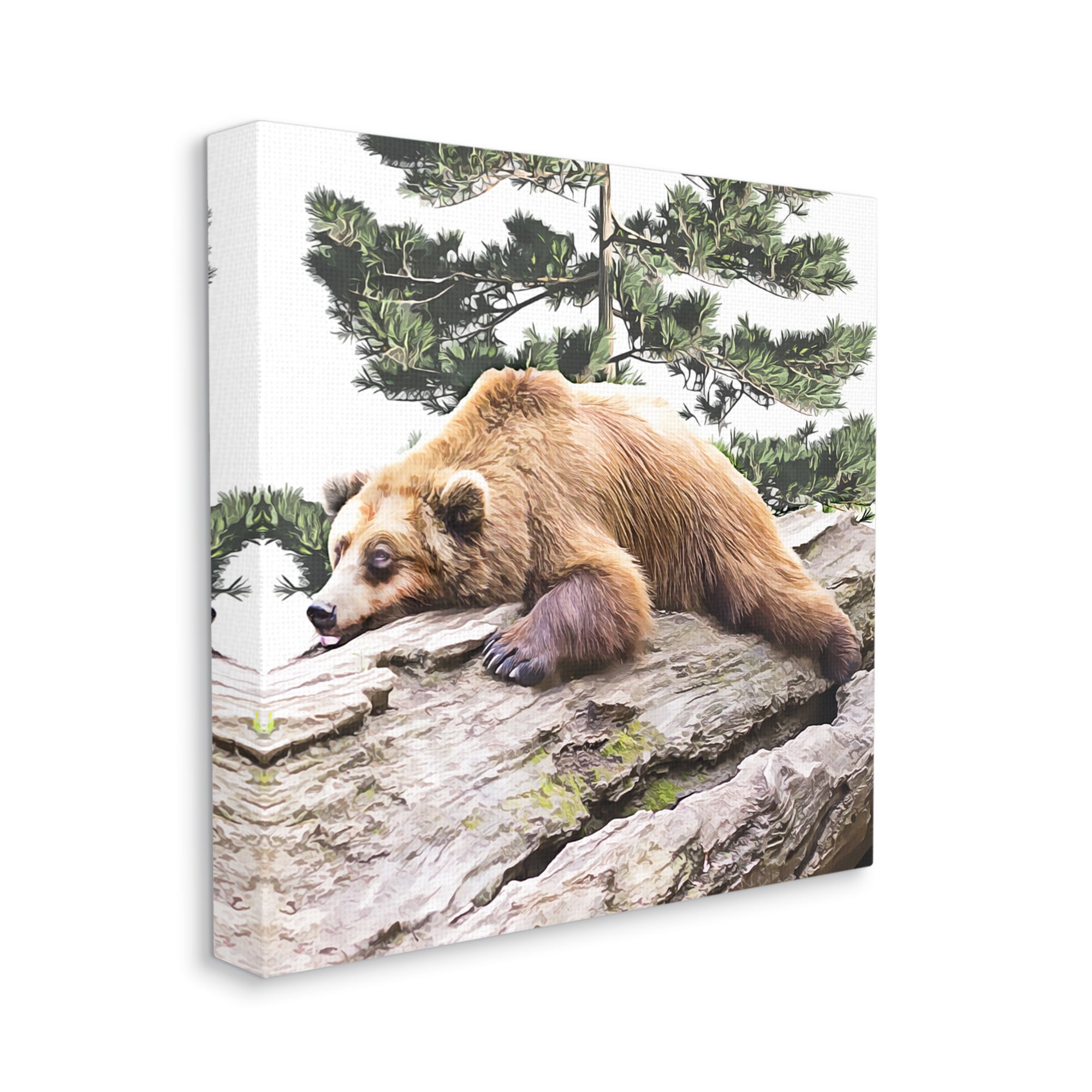 Stupell Sleeping Brown Bear Wildlife Animals & Insects Painting Gallery Wrapped Canvas Print Wall Art