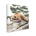 thumbnail image 3 of Stupell Sleeping Brown Bear Wildlife Animals & Insects Painting Gallery Wrapped Canvas Print Wall Art, 3 of 7