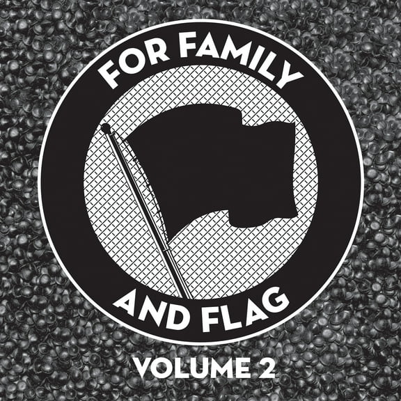 Various Artists - For Family And Flag 2 (Various Artists) - Music & Performance - Vinyl