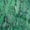 Green, variant on oneOone Polyester Lycra Teal Blue Fabric Animals Dress Material Fabric Print Fabric By The Yard 56 Inch Wide