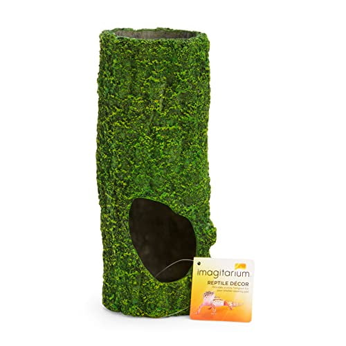 Petco Brand - Imagitarium Moss Covered Reptile Tunnel, Green