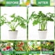 thumbnail image 5 of Enrejado Plantas Tomate para Jardín Jaula Redonda Tomates Columna Plástico Soporte Vid, 5 of 9
