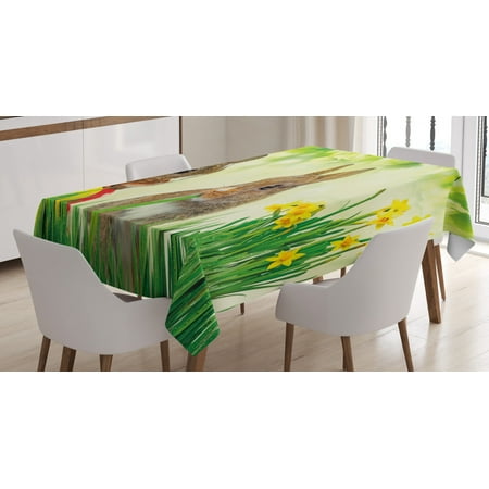 

Easter Bunny Tablecloth Brown Litte Rabbits Meadow Green Grass Spring Easter Photography Rectangular Table Cover for Dining Room Kitchen 60 X 90 Multicolor Fern Green by Ambesonne