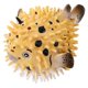 thumbnail image 1 of Realistic Pufferfish Toy Pufferfish Toy Puffer Fish Action Figure Real Blowfish Toy Display DIY Craft Decor for Kids, 1 of 4