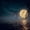 Harvest Moon, variant on Elephant Stock Forest At Night Wall Art - Horizontal Canvas Wall Art - Living Room Wall Decor - Astronomy & Space Canvas - Black And Green Decor - 12" x 8"