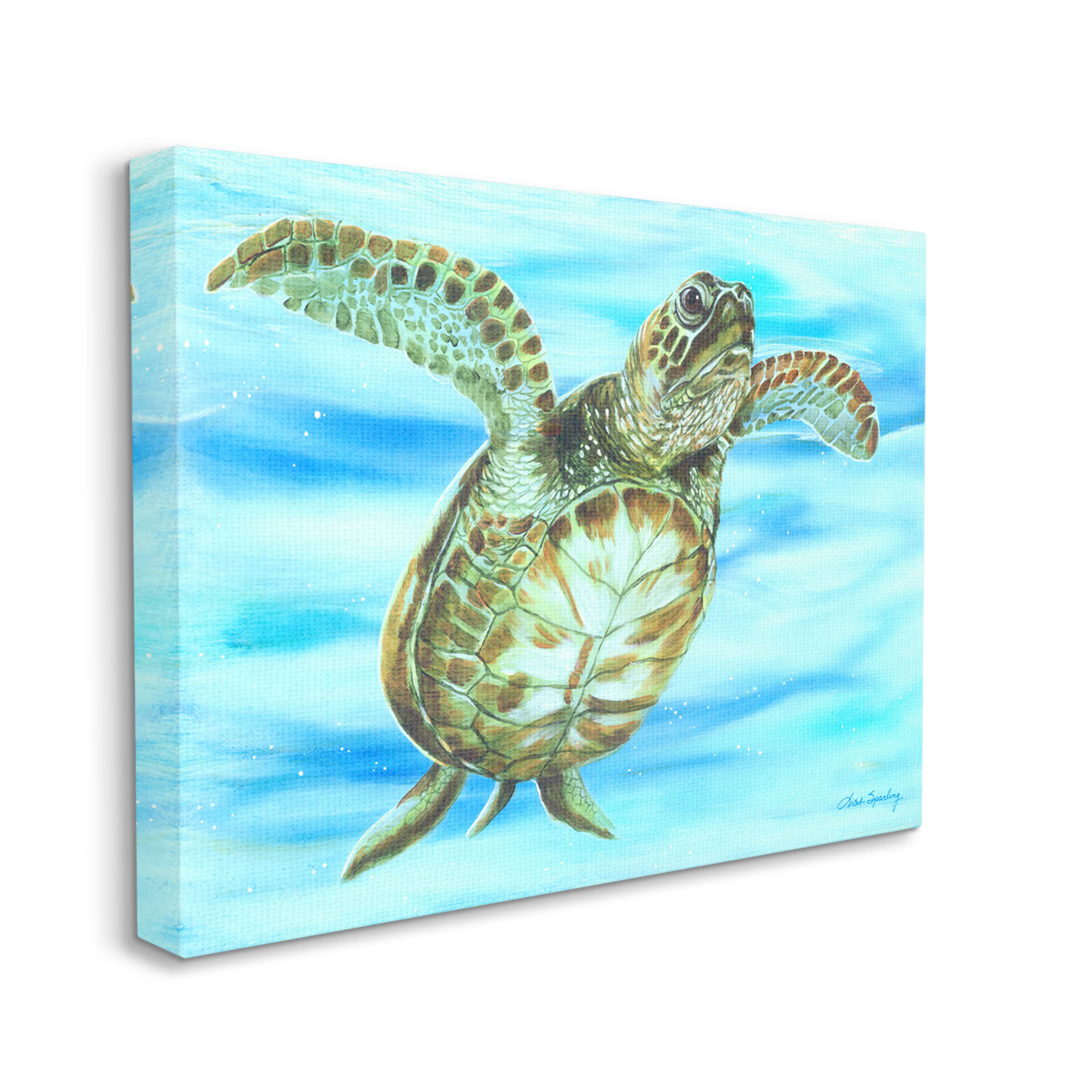 Vivid Underwater Turtle Wildlife Animals & Insects Painting Gallery Wrapped Canvas Print Wall Art