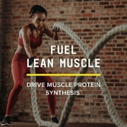 BEYOND RAW Creatine HCl Powder for Men and Women, Muscle Strength and Growth, Energy Production, Athletic Performance, Cognitive Support, Cellular Hydration, Science-Backed, Lab Grade, 60 Servings