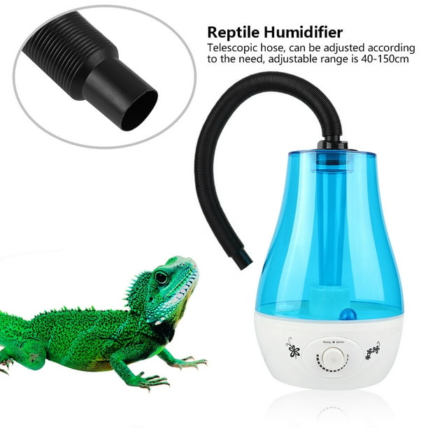 Iguana humidifier online