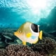 thumbnail image 1 of Conjunto de modelos realistas CUTICAT Figuras de acción de peces Juguetes educativos, 1 of 5