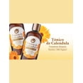 thumbnail image 2 of Tónico de Caléndula con Retinol Fitomex 370 mL, 2 of 2
