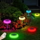 thumbnail image 1 of Luces Solares de Jardín Lightonight con Cambio de Color y Control Remoto, 1 of 9