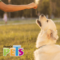 thumbnail image 2 of Palitos de carnaza Natural Fancy Pets 20 pz, 2 of 2