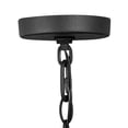 thumbnail image 6 of 2567MB Hinkley Lighting Alford Place - 4 Light Medium Outdoor Hanging Lantern in Traditional Style - 17 Inches Wide by 24.5 Inches High-Museum Black, 6 of 15