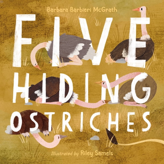 Pre-Owned Five Hiding Ostriches (Hardcover) 1623541964 9781623541965